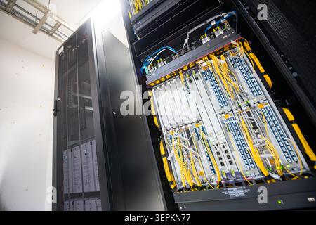 Close-up of high-density network switch chassis with fiber optic patch cords and cable labels in server room. Stock Photo