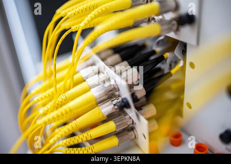 Fiber patch panel with connected optical cables in a server rack data center Stock Photo