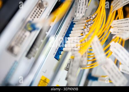Close-up of high-density network switch chassis with fiber optic patch cords and cable labels in server room. Stock Photo