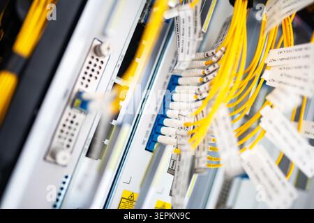 Close-up of high-density network switch chassis with fiber optic patch cords and cable labels in server room. Stock Photo