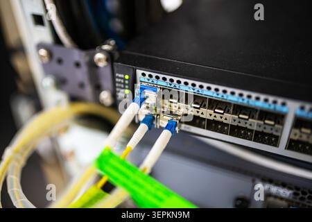 Close-up of high-density network switch chassis with fiber optic patch cords and cable labels in server room. Stock Photo