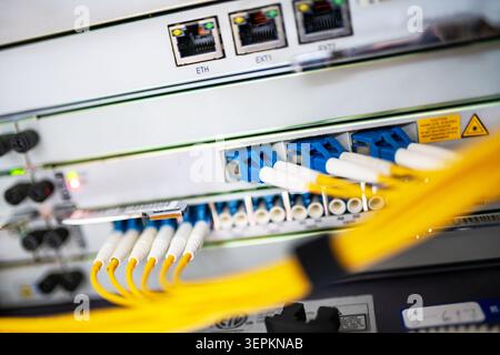 Close-up of high-density network switch chassis with fiber optic patch cords and cable labels in server room. Stock Photo