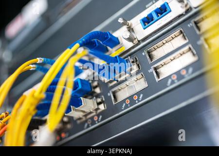 Close-up of high-density network switch chassis with fiber optic patch cords and cable labels in server room. Stock Photo