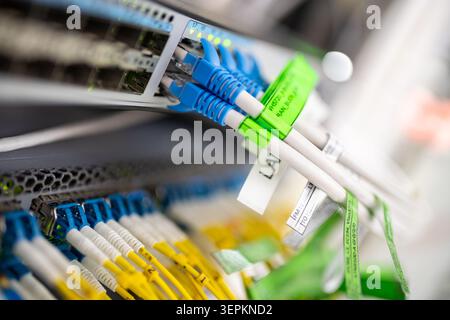 Close-up of high-density network switch chassis with fiber optic patch cords and cable labels in server room. Stock Photo