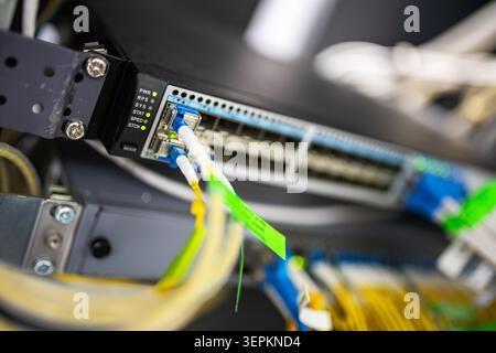 Close-up of high-density network switch chassis with fiber optic patch cords and cable labels in server room. Stock Photo