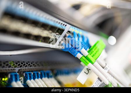 Close-up of high-density network switch chassis with fiber optic patch cords and cable labels in server room. Stock Photo