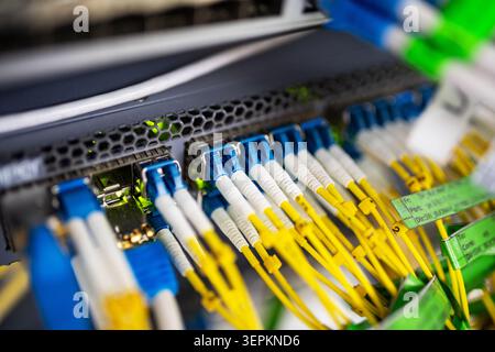 Close-up of high-density network switch chassis with fiber optic patch cords and cable labels in server room. Stock Photo