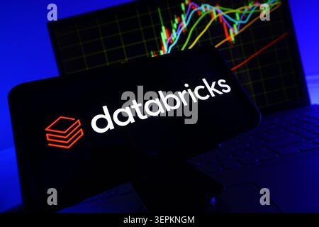 Databricks Leading Data Intelligence And AI Powered Analytics Platform Company Logo Displayed On Mobile Phone Screen With Stock Financial Performance Stock Photo