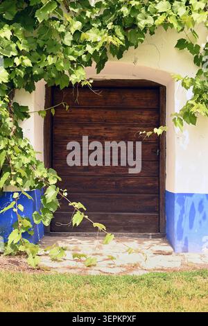 Rustic wooden door framed by green vine leaves on white and blue cottage entrance, in vertical format Stock Photo