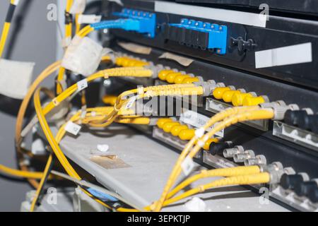 Close-up of multiple yellow Ethernet cables connected to a server rack, illustrating modern data center infrastructure and network management system. Stock Photo