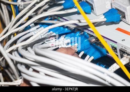 This image depicts a close-up view of a network technician connecting and managing numerous Ethernet cables to a server or network switch, highlightin Stock Photo