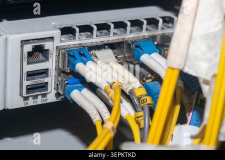 Close-up of network equipment showing Ethernet cables connected to a server or network switch, illustrating data transfer, communication infrastructur Stock Photo