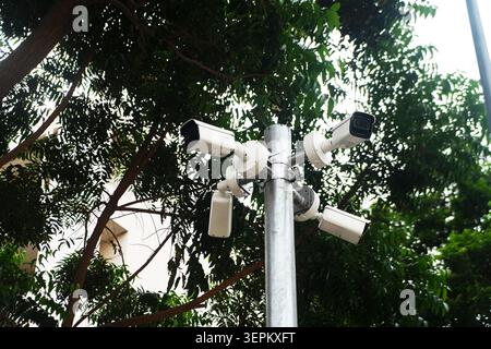 This image shows an array of security cameras mounted on a pole surrounded by lush green foliage, illustrating outdoor surveillance equipment used for Stock Photo