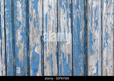 Weathered wooden planks with peeling blue paint and textured grain Stock Photo