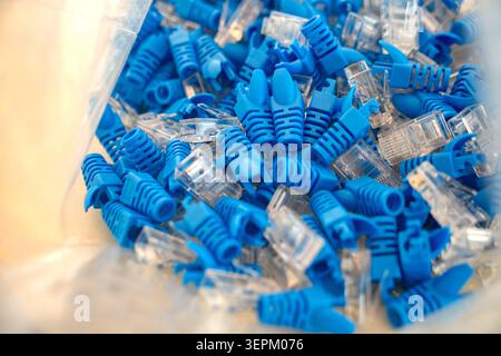 The image shows a close-up of numerous blue ethernet cables and connectors used for establishing wired computer network connections and data transfer. Stock Photo