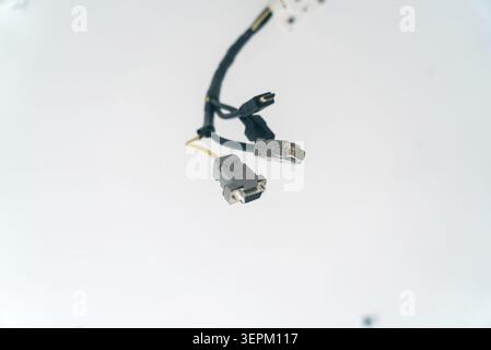 This image features two Ethernet cables with connectors for digital communication and data transfer, highlighting essential components of computer net Stock Photo