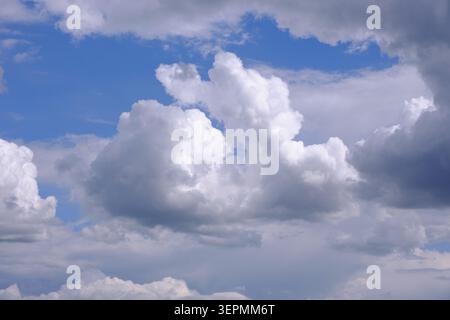 Beautiful fluffy white cumulus clouds floating across vibrant blue sky during bright day Stock Photo