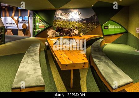 An interactive exhibition table on the theme of ‘Summer in the Alpine Pastures’, featuring animal figures such as a goat and a cow, takes centre stage in a green-themed room at the Hohe Tauern National Park Worlds in Mittersill. The exhibition explores traditional alpine farming in the Hohe Tauern National Park. Gerlos Straße, Klausen, Schattberg, Mittersill, Bezirk Zell am See, Salzburg, 5730, Austria Stock Photo