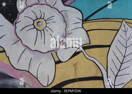 Detailed white flower graffiti with pink outline by Giuseppe Crisafio (Kelevra Tatto Studio) on wall in Molochio, Calabria Southern Italy. Stock Photo
