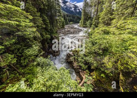 The Untersulzbach carries a powerful flow of water through the narrow rocky gorge on the Waterfall Circular Walk in the Untersulzbach Valley; in the background, clouds hang over the peaks of the Hohe Tauern National Park. Sulzau, Rosental, Neukirchen am Großvenediger, Bezirk Zell am See, Salzburg, 5741, Austria Stock Photo