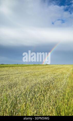 Fields after a storm with a rainbow in the sky. Stock Photo
