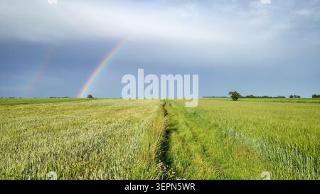 Fields after a storm with a rainbow in the sky. Stock Photo