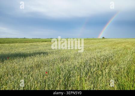 Fields after a storm with a rainbow in the sky. Stock Photo