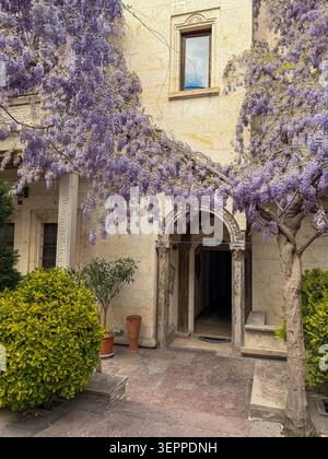 This captivating image showcases a charming entrance draped in vibrant wisteria blossoms, typical of Cappadocia's unique architectural style. Stock Photo