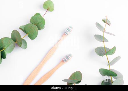 Eco friendly bamboo toothbrushes with eucalyptus branches on white background. Sustainable oral care concept with natural materials and minimal design Stock Photo