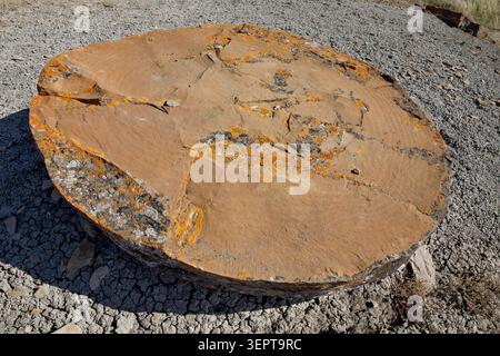 Inside of a sandstone concretion that has been fractured by weathering, Red Rock Coulee Natural Area, Alberta, Canada Stock Photo