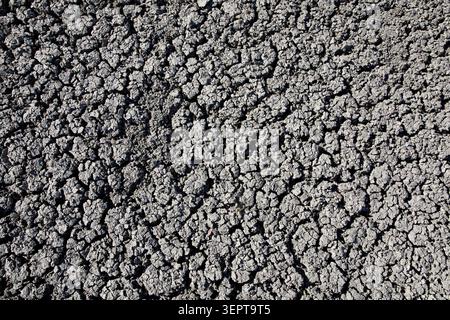 Dried, cracked mud in a prairie badland at Red Rock Coulee Natural Area, Alberta, Canada Stock Photo