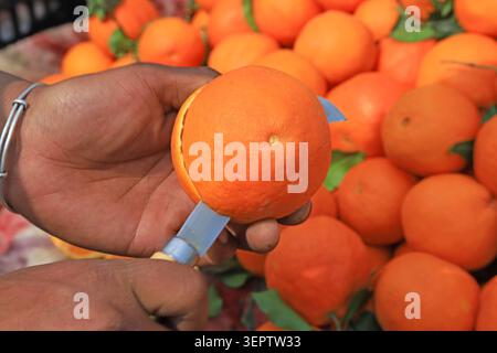 A pair of hands peeling the rind off a fresh orange with a small knife, with a pile of plump oranges in the background, capturing the moment of fruit Stock Photo