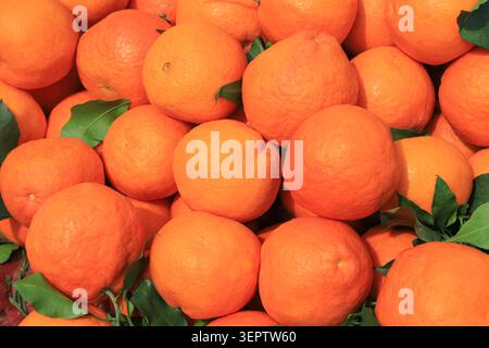 A dense pile of plump, vibrant fresh oranges stacked closely together, with textured peels and green leaves interspersed, showcasing the rich harvest Stock Photo