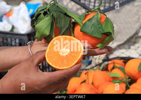 Hands holding whole fresh oranges with green leaves and a sliced orange half, showing plump, juicy flesh. A pile of oranges at the market forms the ba Stock Photo