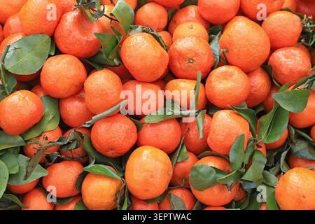 A dense pile of plump, vibrant mandarin oranges stacked closely together, with textured peels and green leaves interspersed, showing the fresh texture Stock Photo