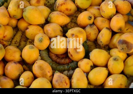 Ripe Loquats in a Woven Basket Stock Photo