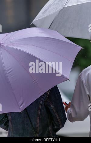 Two friends wait on a rainy corner beneath speckled umbrellas, one checking a phone as water beads across their lavender and gray canopies. Stock Photo