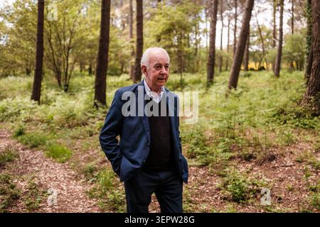 Senior man in suit walking through a forest, looking contemplative Stock Photo