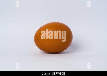 Single brown egg on plain white background. Smooth surface, natural coloration. Simple composition, clean lighting. Ideal for food, nutrition, or agri Stock Photo