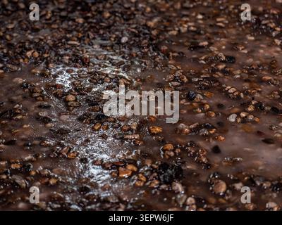 Close Up of Wet Pebbles on Muddy Ground Stock Photo