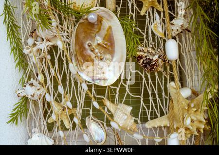 Large and small seashells arranged on a white fishing net. It creates a marine texture. Concept of maritime background and ecological nature discovery Stock Photo