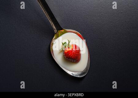 Fresh strawberry with white yogurt in a spoon on black background, close up. Top view of a single ripe red strawberry inside a metal spoon filled with Stock Photo