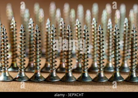 Macro shot of golden self-tapping screws arranged in rows on a wooden surface. Focus on construction, repair, tools and equipment. Stock Photo