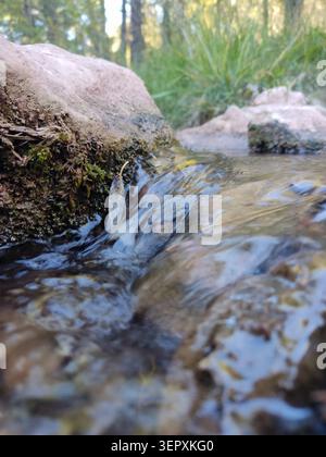 Low angle view of clear fresh water rushing over small rocks in a creek. Stock Photo