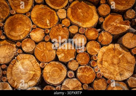 These cut tree trunks were stacked along a mountain road above Saas Fee Stock Photo