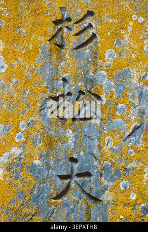 Close-up macro texture view of a flat rock surface covered in yellow lichen with carved kanji characters, Kyoto, Japan Stock Photo
