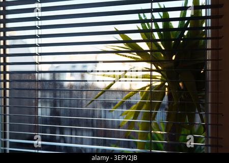 view from window sunset through blinds Stock Photo