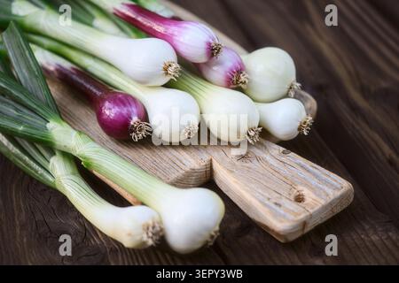 Spring onion bundle on wooden cutting board, shallow depth and blurred background. Organic scallions close detail, healthy farm harvest concept Stock Photo