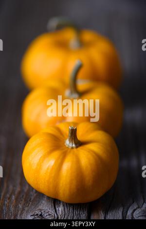 Stack of miniature orange pumpkins on rustic wooden table in soft focus light. Minimal autumn still life with squash and seasonal warmth Stock Photo