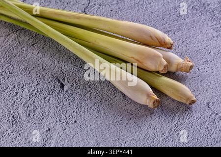 Four fresh lemongrass stalks arranged diagonally on a gray concrete surface. The stalks display vibrant green upper sections transitioning to pale yel Stock Photo